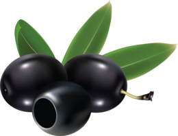 vegetables & olives free transparent png image.