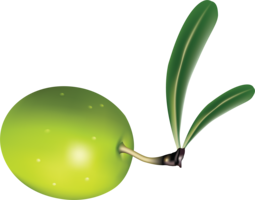 vegetables & Olives free transparent png image.