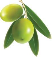 vegetables & Olives free transparent png image.