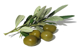 vegetables & Olives free transparent png image.