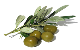 vegetables & olives free transparent png image.