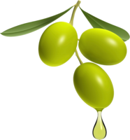 vegetables & olives free transparent png image.