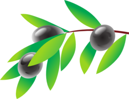 vegetables & olives free transparent png image.