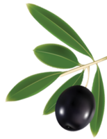 vegetables & Olives free transparent png image.