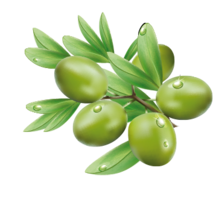 vegetables & olives free transparent png image.