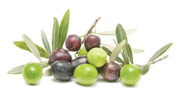 vegetables & Olives free transparent png image.