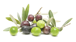 vegetables & olives free transparent png image.