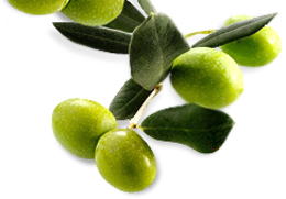 vegetables & olives free transparent png image.