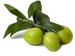 vegetables & Olives free transparent png image.