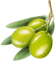 vegetables & Olives free transparent png image.