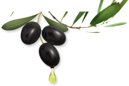 vegetables & olives free transparent png image.