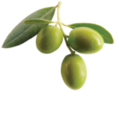 vegetables & olives free transparent png image.