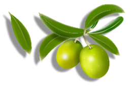 vegetables & olives free transparent png image.