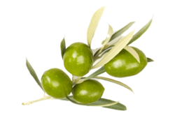 vegetables & Olives free transparent png image.