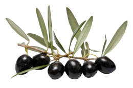 vegetables & Olives free transparent png image.