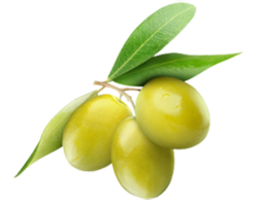 vegetables & olives free transparent png image.