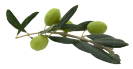 vegetables & Olives free transparent png image.