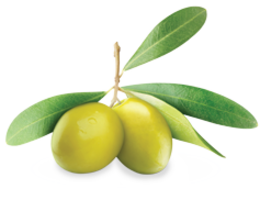 vegetables & Olives free transparent png image.