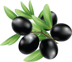 vegetables & olives free transparent png image.