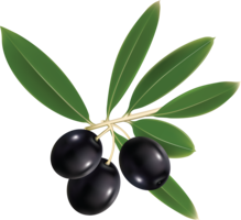 vegetables & olives free transparent png image.