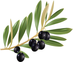 vegetables & olives free transparent png image.