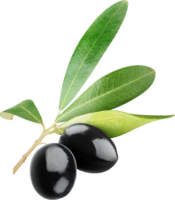 vegetables & olives free transparent png image.