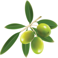 vegetables & Olives free transparent png image.