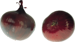 vegetables & Onion free transparent png image.