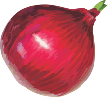 vegetables & Onion free transparent png image.