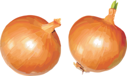 vegetables & onion free transparent png image.