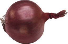 vegetables & onion free transparent png image.