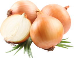 vegetables & onion free transparent png image.