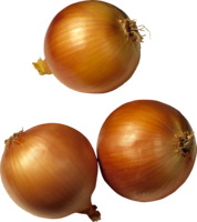 vegetables & onion free transparent png image.