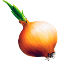 vegetables & onion free transparent png image.