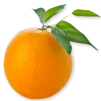 fruits & Orange free transparent png image.