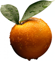 fruits & orange free transparent png image.