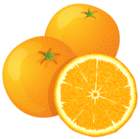 fruits & orange free transparent png image.