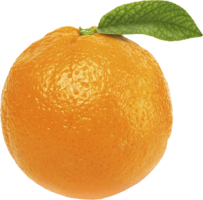 fruits & orange free transparent png image.