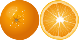 fruits & Orange free transparent png image.