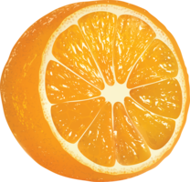 fruits & Orange free transparent png image.
