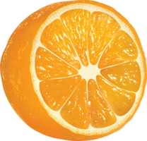 fruits & orange free transparent png image.