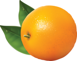 fruits & orange free transparent png image.