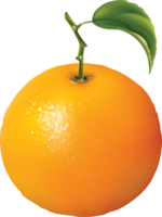 fruits & orange free transparent png image.