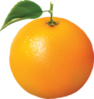 fruits & orange free transparent png image.