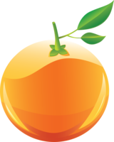 fruits & Orange free transparent png image.