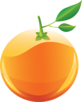 fruits & orange free transparent png image.