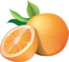 fruits & orange free transparent png image.