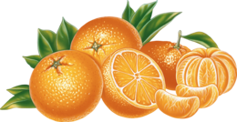 fruits & orange free transparent png image.