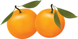 fruits & orange free transparent png image.