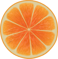 fruits & Orange free transparent png image.